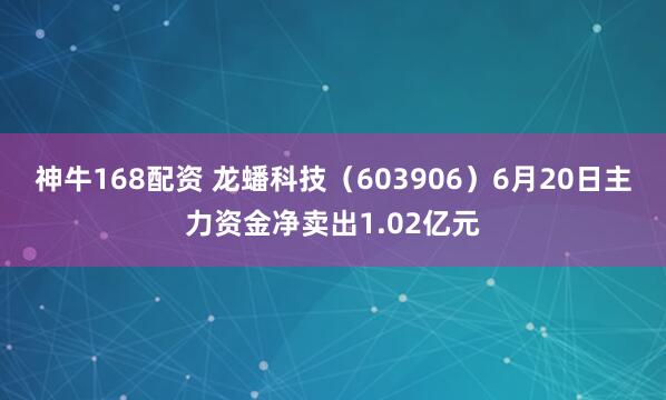 神牛168配资 龙蟠科技（603906）6月20日主力资金净卖出1.02亿元