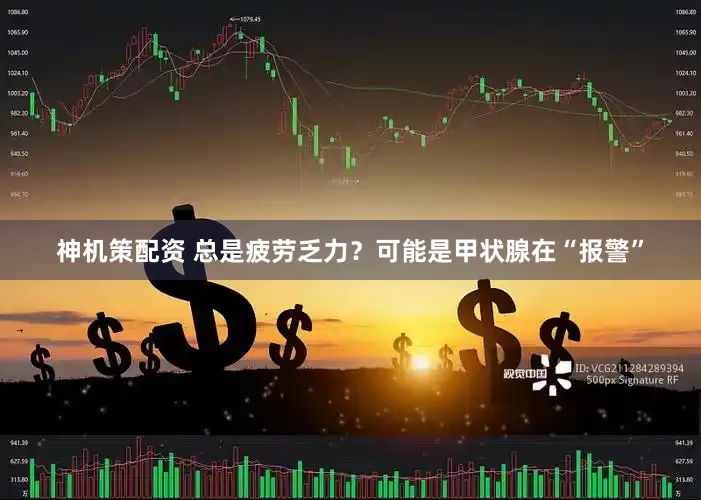 神机策配资 总是疲劳乏力？可能是甲状腺在“报警”