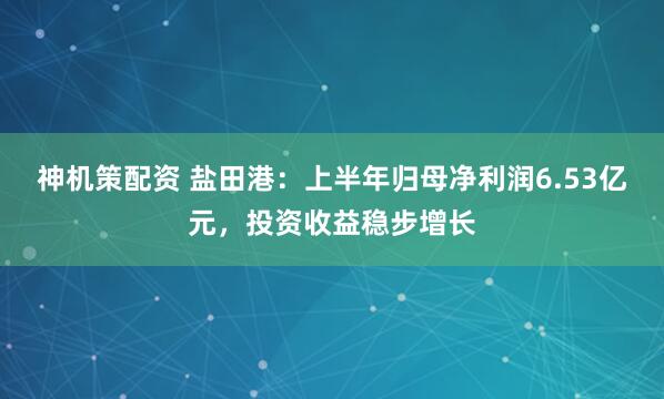 神机策配资 盐田港：上半年归母净利润6.53亿元，投资收益稳步增长